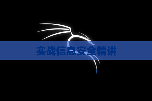 实战信息安全精讲
