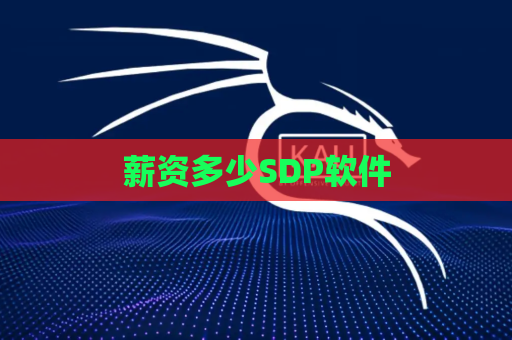 薪资多少SDP软件