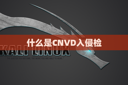 什么是CNVD入侵检