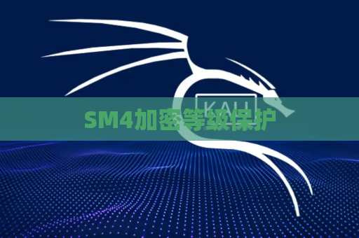 SM4加密等级保护