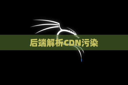后端解析CDN污染