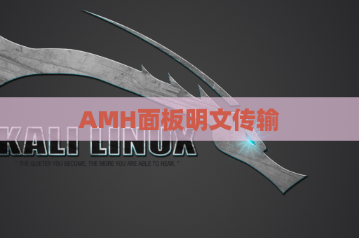 AMH面板明文传输