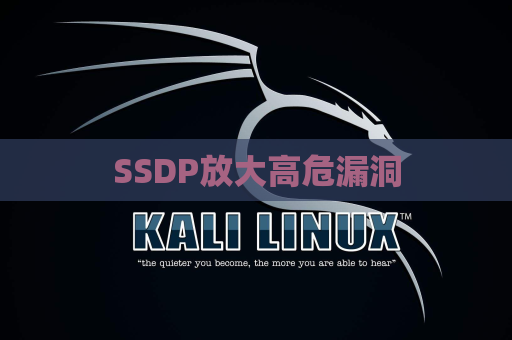 SSDP放大高危漏洞