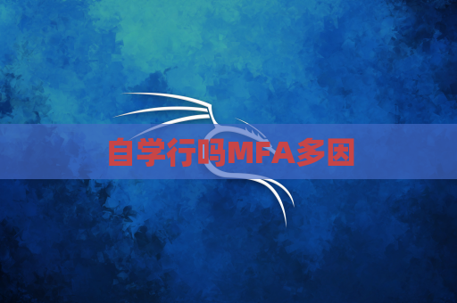 自学行吗MFA多因