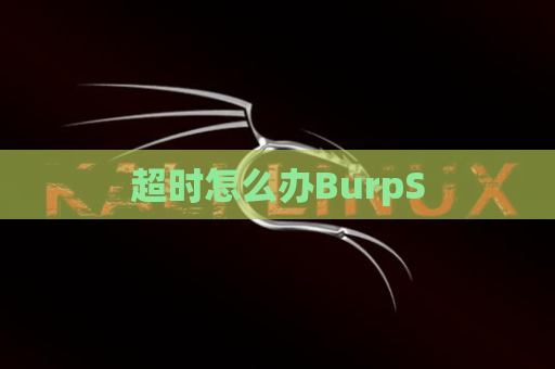 超时怎么办BurpS