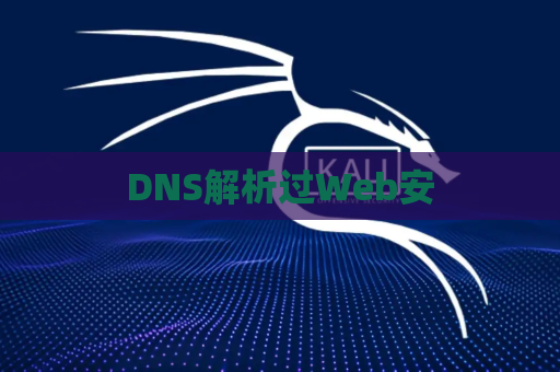 DNS解析过Web安
