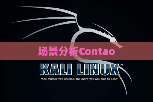 场景分析Contao