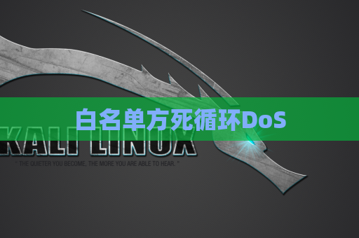 白名单方死循环DoS