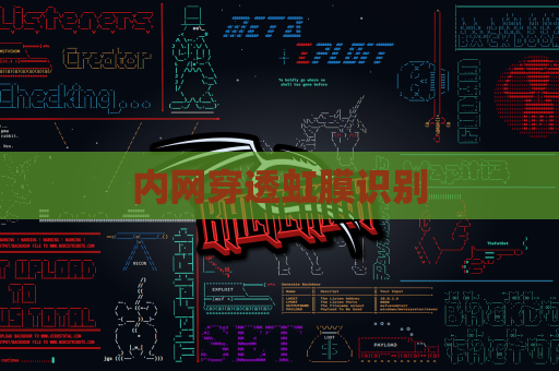 内网穿透虹膜识别