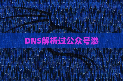 DNS解析过公众号渗
