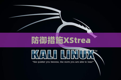 防御措施XStrea