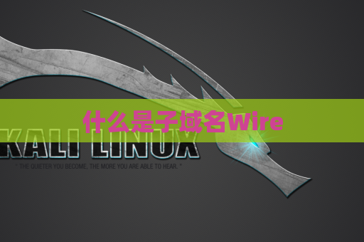 什么是子域名Wire