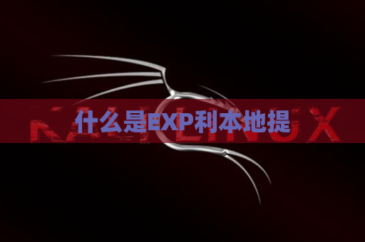 什么是EXP利本地提