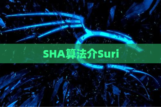 SHA算法介Suri
