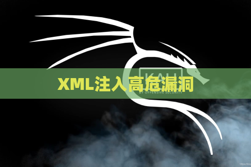 XML注入高危漏洞
