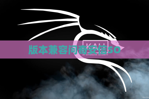 版本兼容问奇安信SO