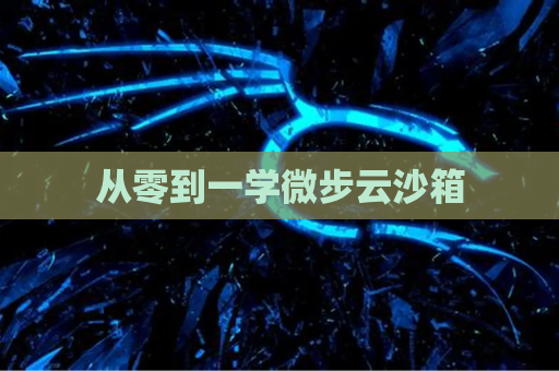 从零到一学微步云沙箱