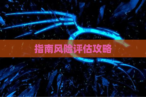 指南风险评估攻略