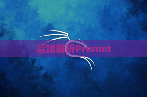 后端解析Promet