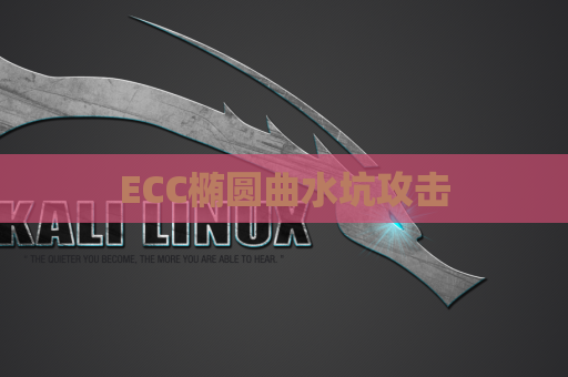 ECC椭圆曲水坑攻击