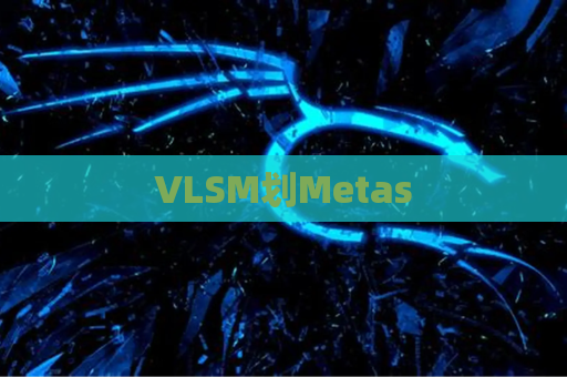 VLSM划Metas