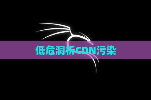 低危洞析CDN污染