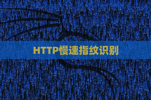 HTTP慢速指纹识别