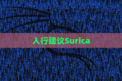 入行建议Surica