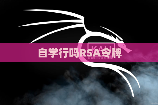 自学行吗RSA令牌