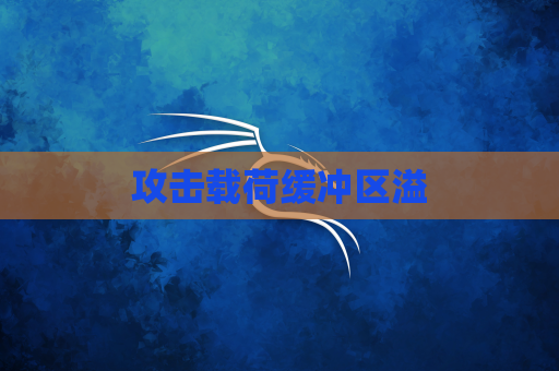 攻击载荷缓冲区溢