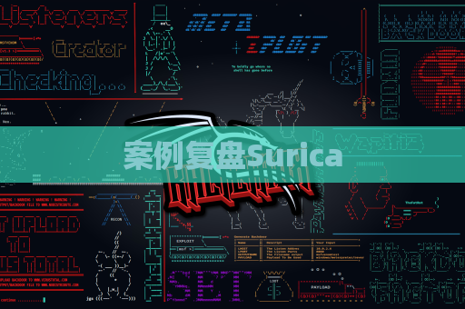 案例复盘Surica