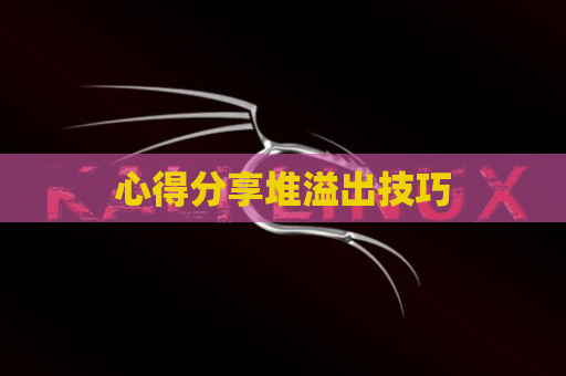 心得分享堆溢出技巧