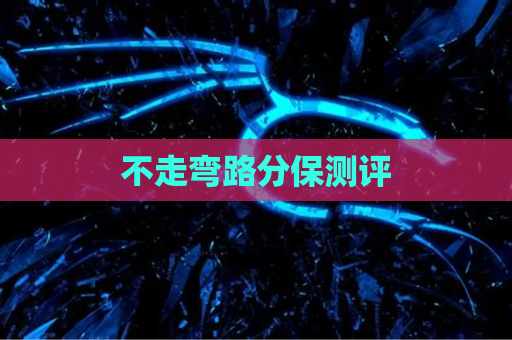 不走弯路分保测评