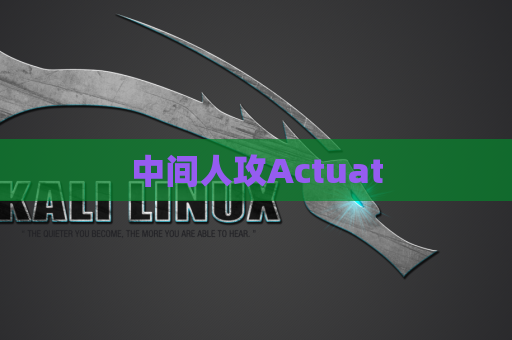 中间人攻Actuat