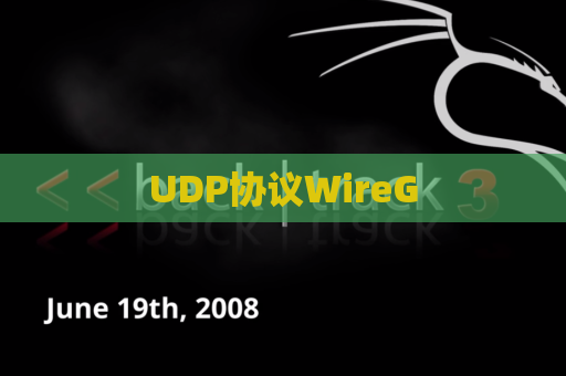 UDP协议WireG