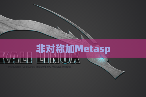 非对称加Metasp
