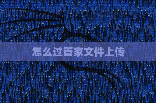 怎么过管家文件上传