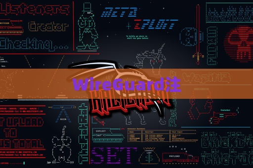 WireGuard注