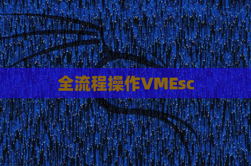 全流程操作VMEsc