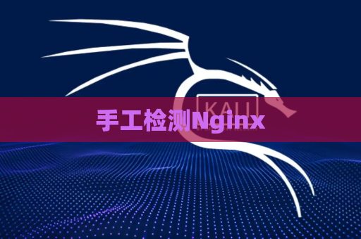 手工检测Nginx