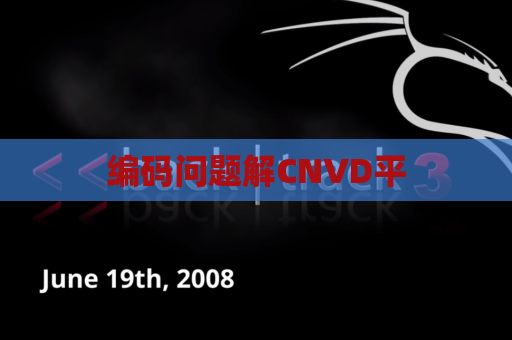 编码问题解CNVD平