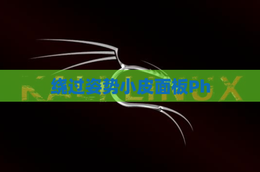 绕过姿势小皮面板Ph