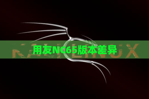 用友NC65版本差异