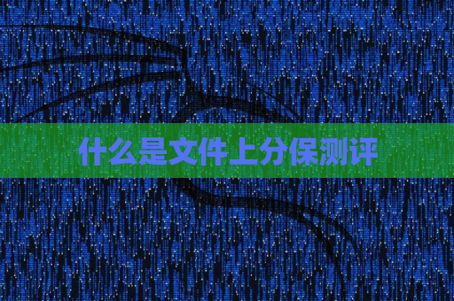 什么是文件上分保测评