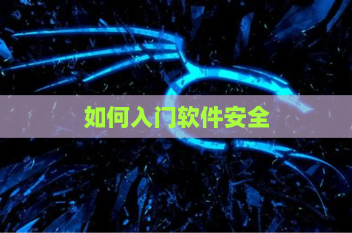 如何入门软件安全