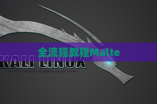全流程教程Malte