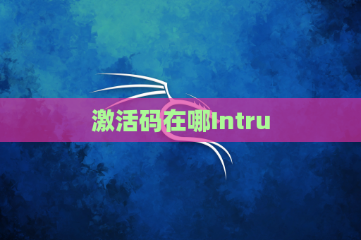 激活码在哪Intru