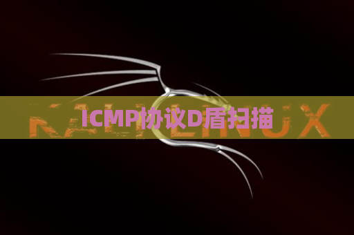 ICMP协议D盾扫描