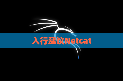 入行建议Netcat