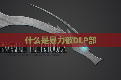 什么是暴力破DLP部